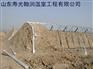 专业设计建造蔬菜温室大棚