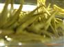 供应优质中国有机绿茶