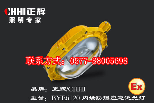 BYE6120 内场防爆应急泛光灯  防爆应急灯  防爆泛光灯  正辉灯具