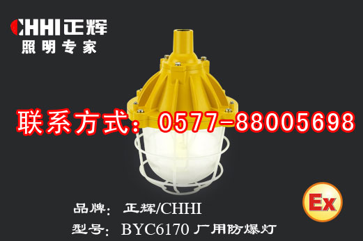 BYC6170 厂用防爆灯（金卤灯）  场馆灯  正辉灯具