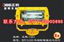 BFC6100 外场防爆强光泛光灯（400W金卤灯）