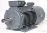 供应YVF变频调速电机YVF2变频电机