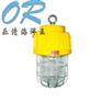 a海洋王DGS70/127B(B) 矿用隔爆型泛光灯
