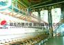 小型棉籽油精炼机械