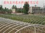 温室大棚骨架机 大棚支架机 蔬菜大棚 五洲
