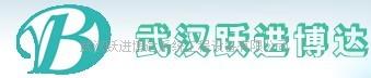 武汉跃进博达系统工程设备有限公司