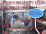 杭州下沙区#高压管道疏通 清洗 *环卫所抽粪&