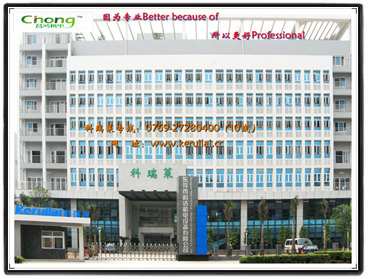 东莞市昌鸿冷冻机电设备有限公司