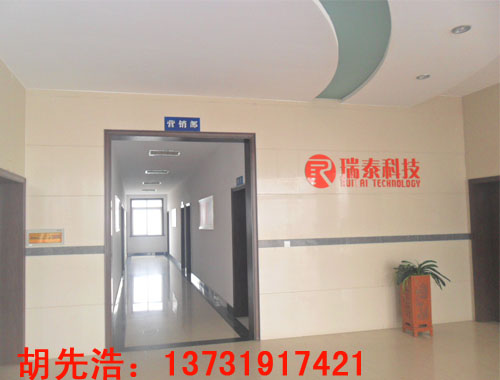 瑞泰新材料科技有限公司