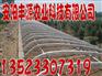 无支柱大棚骨架，多功能温室大棚支架机，新型蔬菜大棚支架机