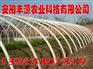 温室大棚骨架机，新一代大棚骨架机，塑钢温室蔬菜大棚骨架机