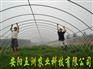 钢管镀塑大棚骨架机 大棚支架机 温室大棚五洲