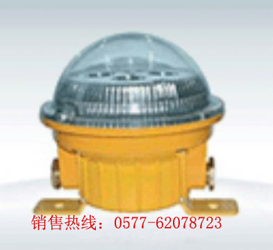防爆安全照明灯，防水防尘防震投光灯  防水防尘防震灯