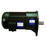 东炜庭齿轮减速马达，东炜庭马达0.1HP-3.7HP
