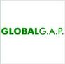 供应蔬果出口GLOBALGAP认证
