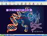量子检测仪 亚健康检测仪 量子弱磁场工作分析仪
