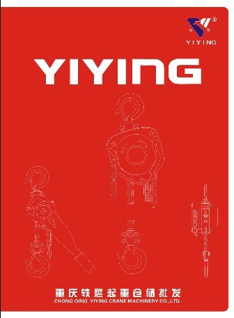 重庆轶鹰起重机械有限公司Logo