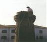 高空建筑维护，烟囱内外维护新建，烟囱滑模维护，美化烟囱
