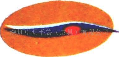 深圳卓明手袋(皮具)有限公司