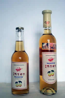 酿造梨醋生产线项目