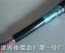 供应HYA53、HYAT53、HYV、HYA23、