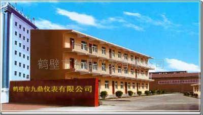 鹤壁市九鼎仪表有限公司