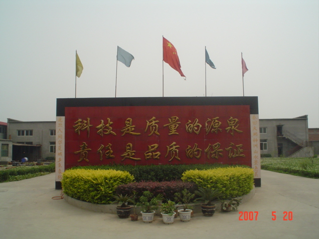 石家庄鼎鑫链轮制造有限公司