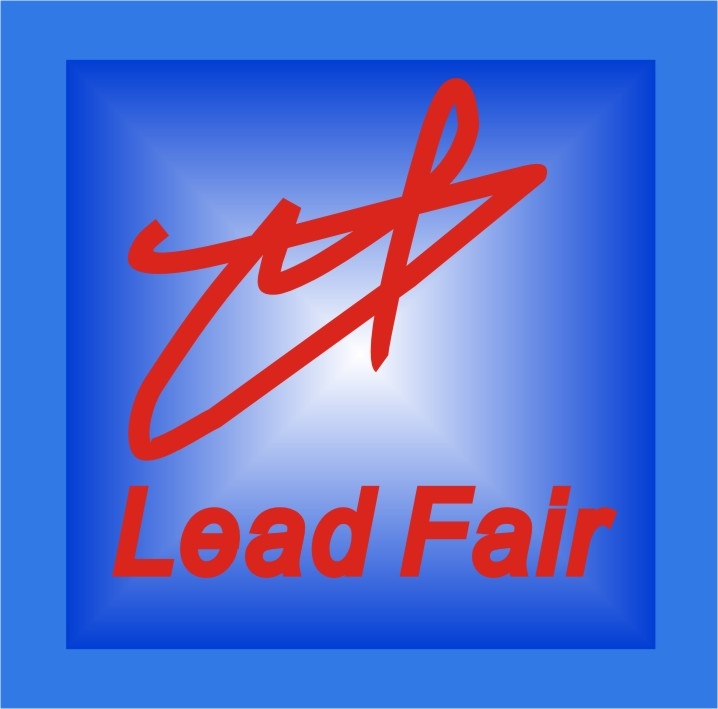 深圳领路达方电子科技有限公司Logo