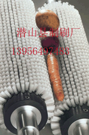 环保刷 滚筒刷 清洗器毛刷 矿产皮带 播种机毛刷  皮带刷  制刷厂