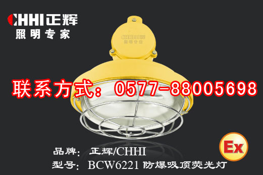 BCW6221 防爆吸顶荧光灯,防爆顶灯  防爆灯具  防爆荧光灯
