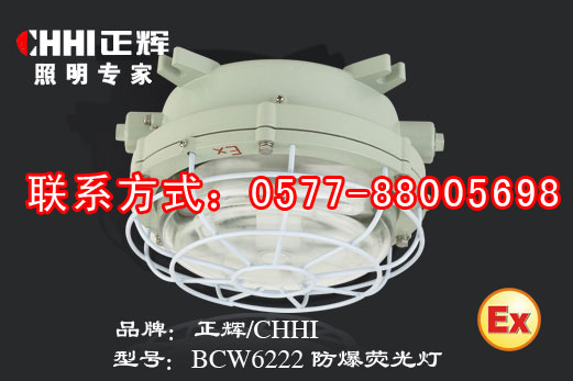 BCW6221 防爆吸顶荧光灯,防爆顶灯  防爆灯具  防爆荧光灯