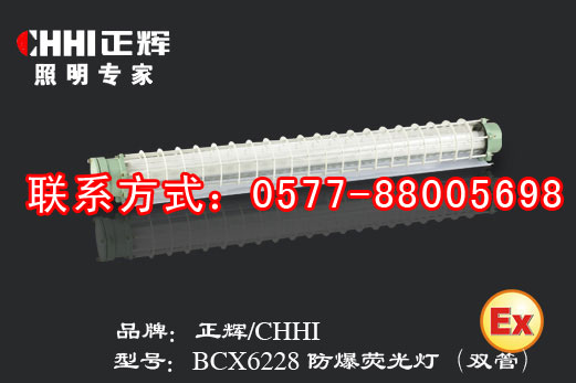 正辉照明-BCX6227/BCX6228防爆荧光灯  防爆灯具