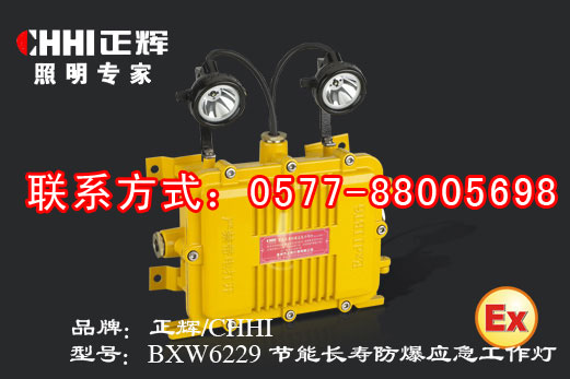 BXW6229 节能长寿防爆应急工作灯  防爆应急灯  防爆灯具  防爆工作灯