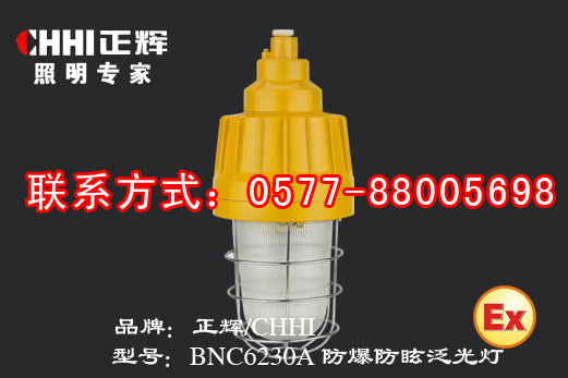 BNC6230(A) 防爆防眩泛光灯  防爆泛光灯  正辉照明  防爆工作灯