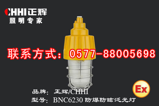 BNC6230(A) 防爆防眩泛光灯  防爆泛光灯  正辉照明  防爆工作灯