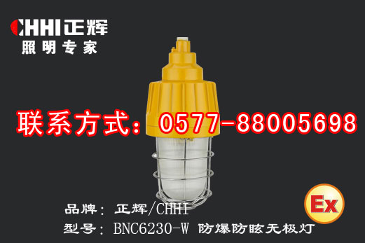 BNC6230-W 防爆防眩无极灯，防爆无极灯  防爆灯具  正辉灯具