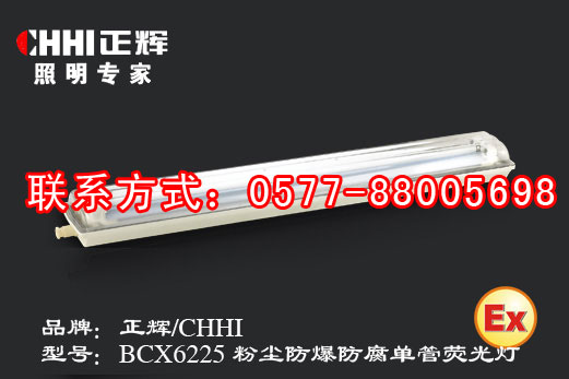 粉尘防爆防腐单管荧光灯BCX6225  粉尘防爆灯  防爆荧光灯  防爆顶灯