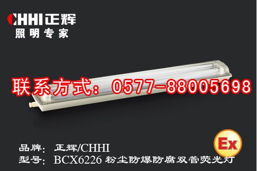 BCX6226 粉尘防爆防腐双管荧光灯  粉尘防爆灯  防爆荧光灯  正辉照明