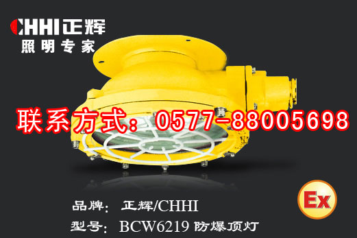 BCW6220 粉尘防爆灯  防爆荧光灯  防爆顶灯