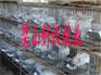 供应养兔场，河北养兔场，河北獭兔价格，衡水养兔场