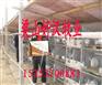 供应养兔场，河北养兔场，河北獭兔价格，唐山养兔场
