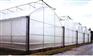 长沙温室大棚 长沙塑料温室大棚 长沙建鑫科技供应