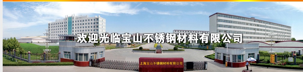 上海宝山不锈钢材料有限公司Logo