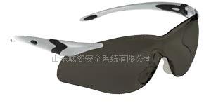 美国诺斯T15005安全眼镜★防刮擦眼镜★山东济南一级代理★  防刮擦安全眼镜  防紫外线安全眼镜  防静电安全眼镜