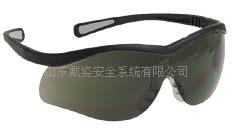 美国诺斯T65505BL安全眼镜★山东济南一级代理★  防刮擦安全眼镜  防紫外线安全眼镜  防静电安全眼镜