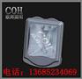 江苏防眩通路灯（NSC9700）_防眩投光灯专业生产