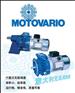 供应意大利MOTOVARIO减速机
