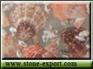 artificial stone