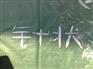 湖北针状硅灰石粉