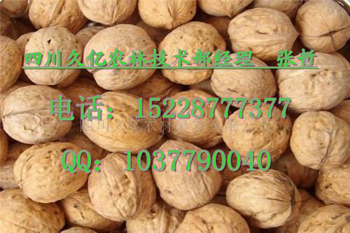 四川久亿农林开发有限公司